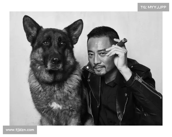 为什么维尔贝克被称为黑贝解读其背后的原因与影响分析