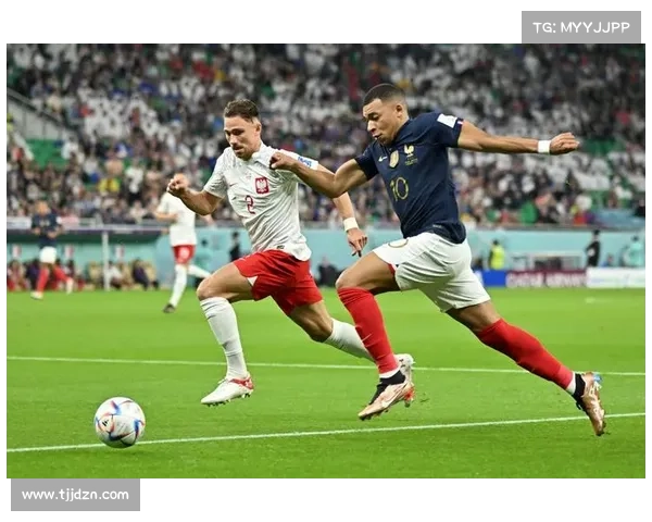 2023法国与波兰世界杯对决全方位战术分析与预测